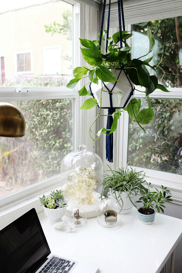 Home Office - Plenty of Plants