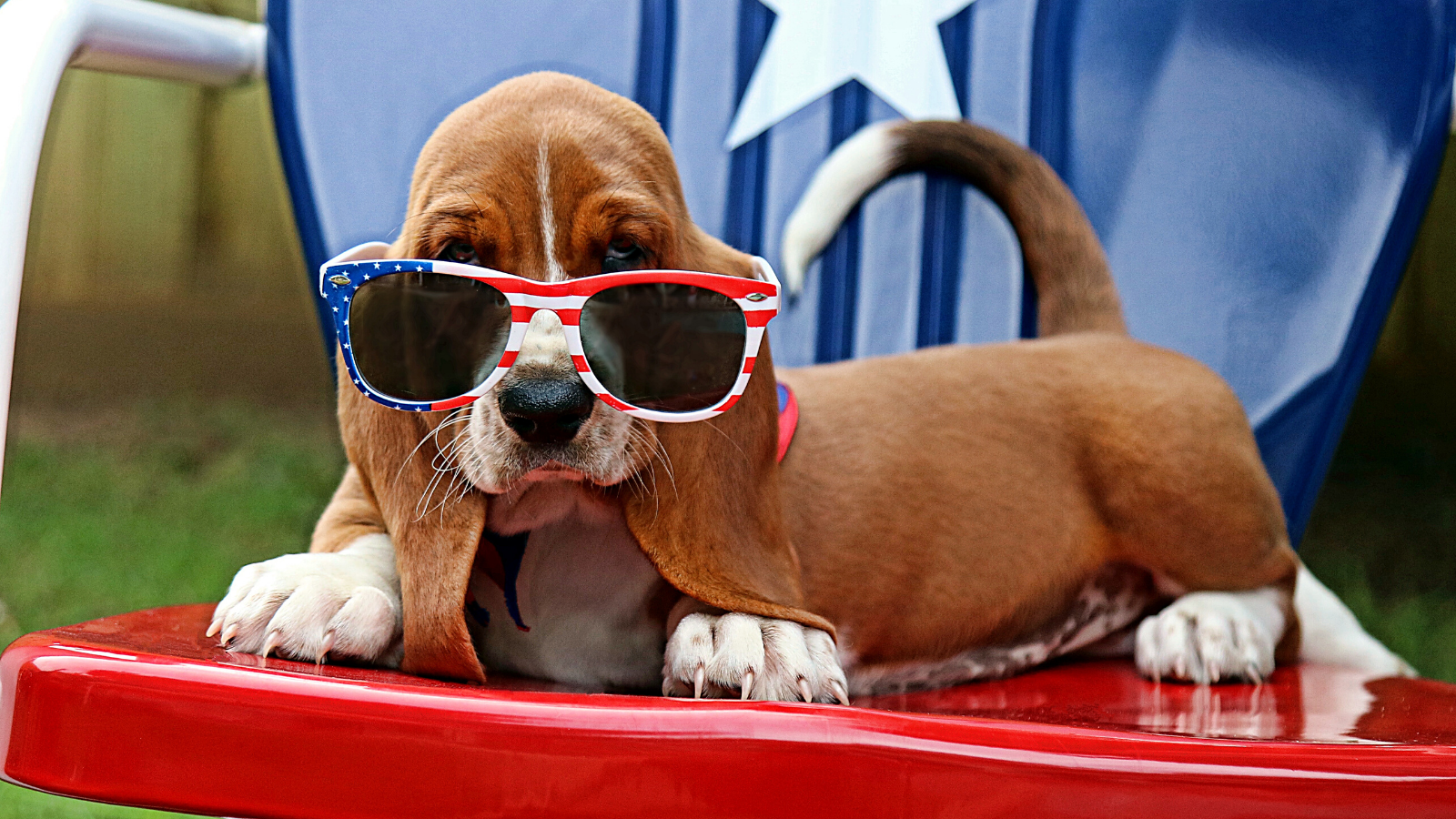 13 Easy Tips for a Star-Spangled Fourth of July Party - featured 2